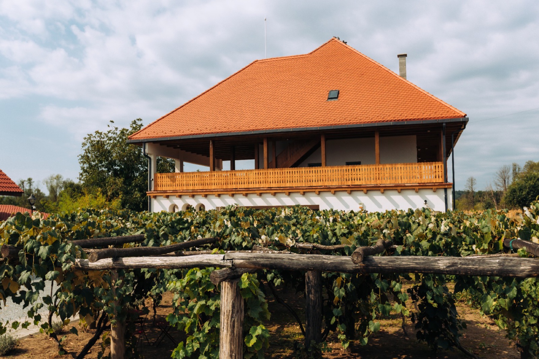Pensiunea Acasă la Brâncuș văzută dincolo de vița de vie